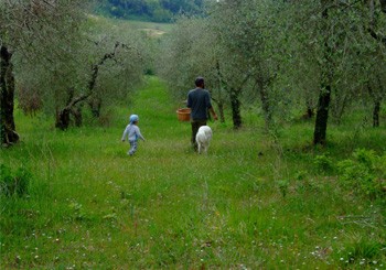 La domenica tutti a caccia di asparagi e cicoria