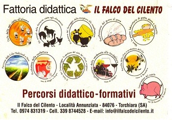 Speciale scuole: fattoria didattica